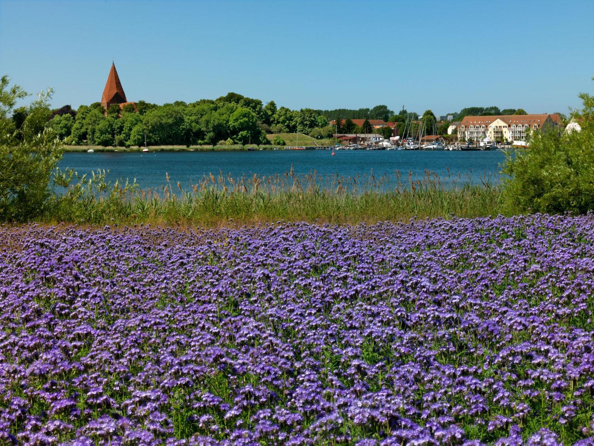 Daenisches Ferienhaus Kaltenhof Esterno foto